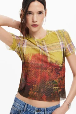 Camiseta tul estampado