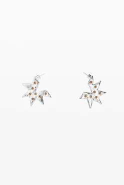 Pendientes en forma de estrella plata Zalio
