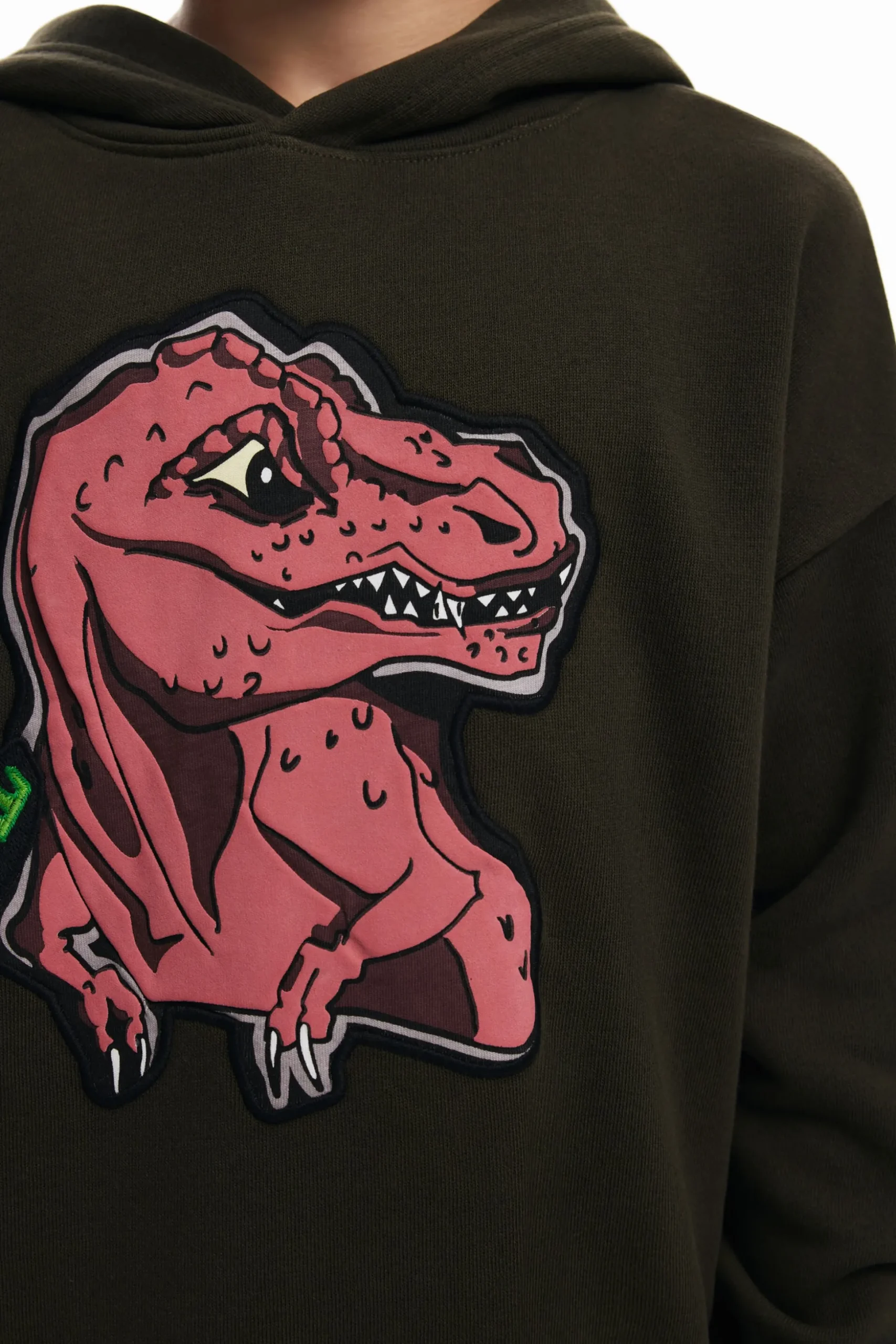 Sudadera dinosaurio