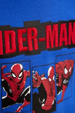 Sudadera Spiderman sin capucha